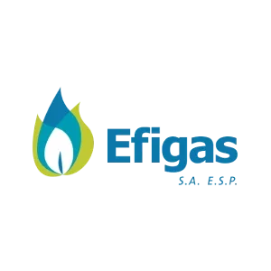 efigas_logo_portfolio