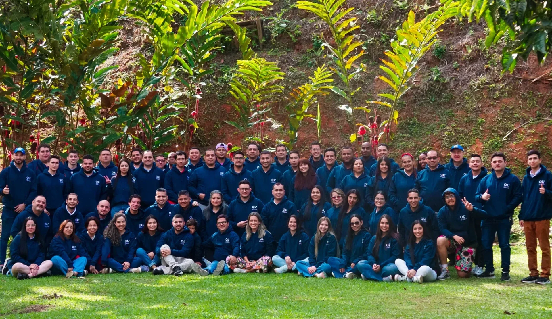 Equipo de desarrollo olsoftware