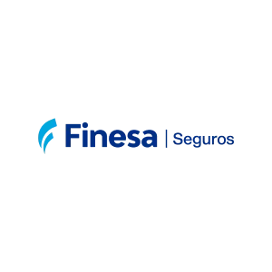 finesa_logo_portfolio